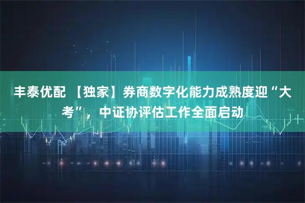 丰泰优配 【独家】券商数字化能力成熟度迎“大考”，中证协评估工作全面启动